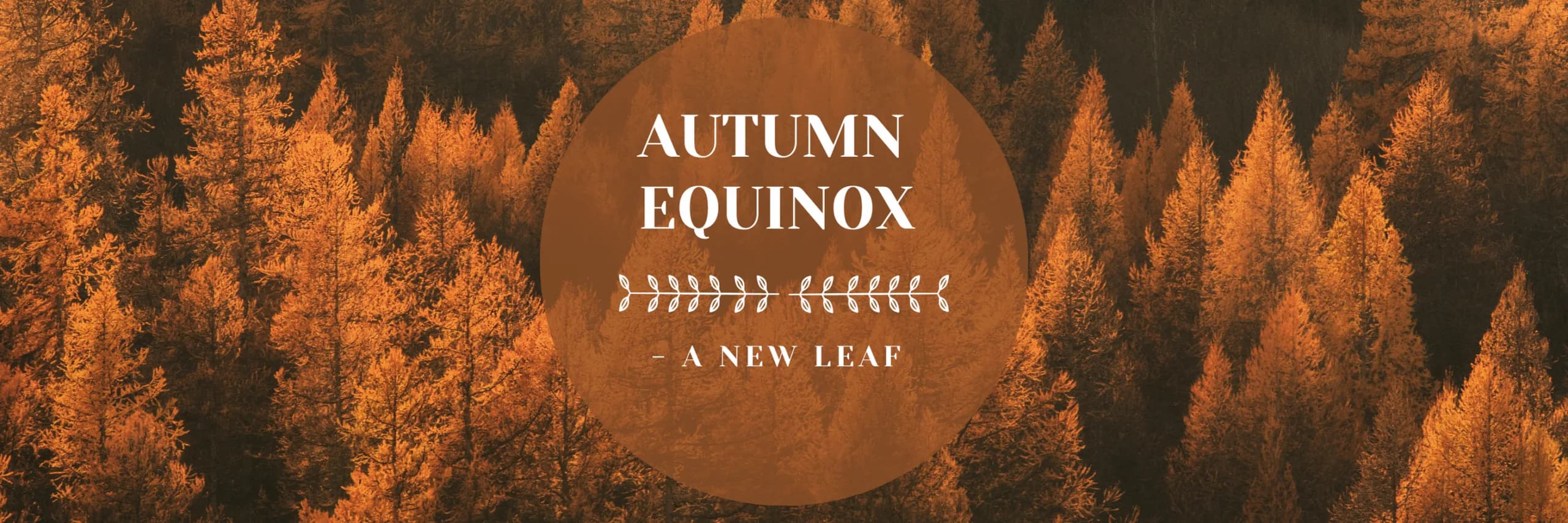 Autumn Equinox - a new leaf...