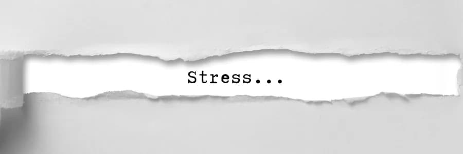 Dealing with stress...