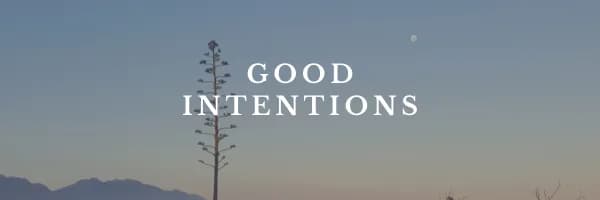 Good Intentions