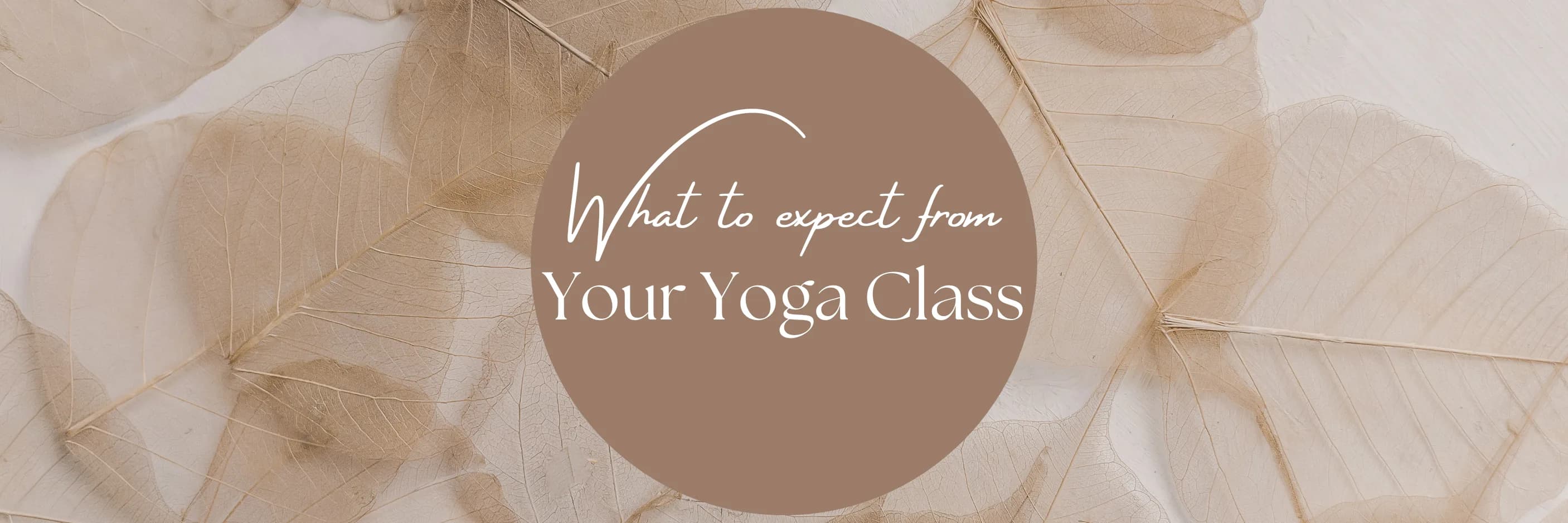 What to expect from your yoga class